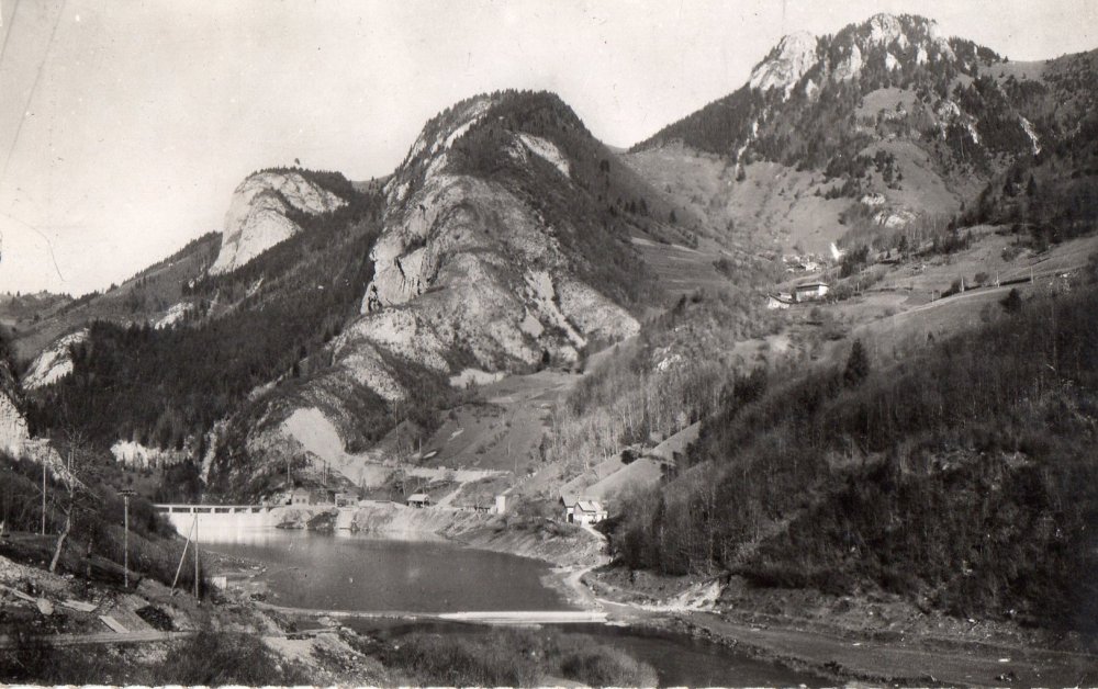 1954